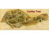 Layout of the sites